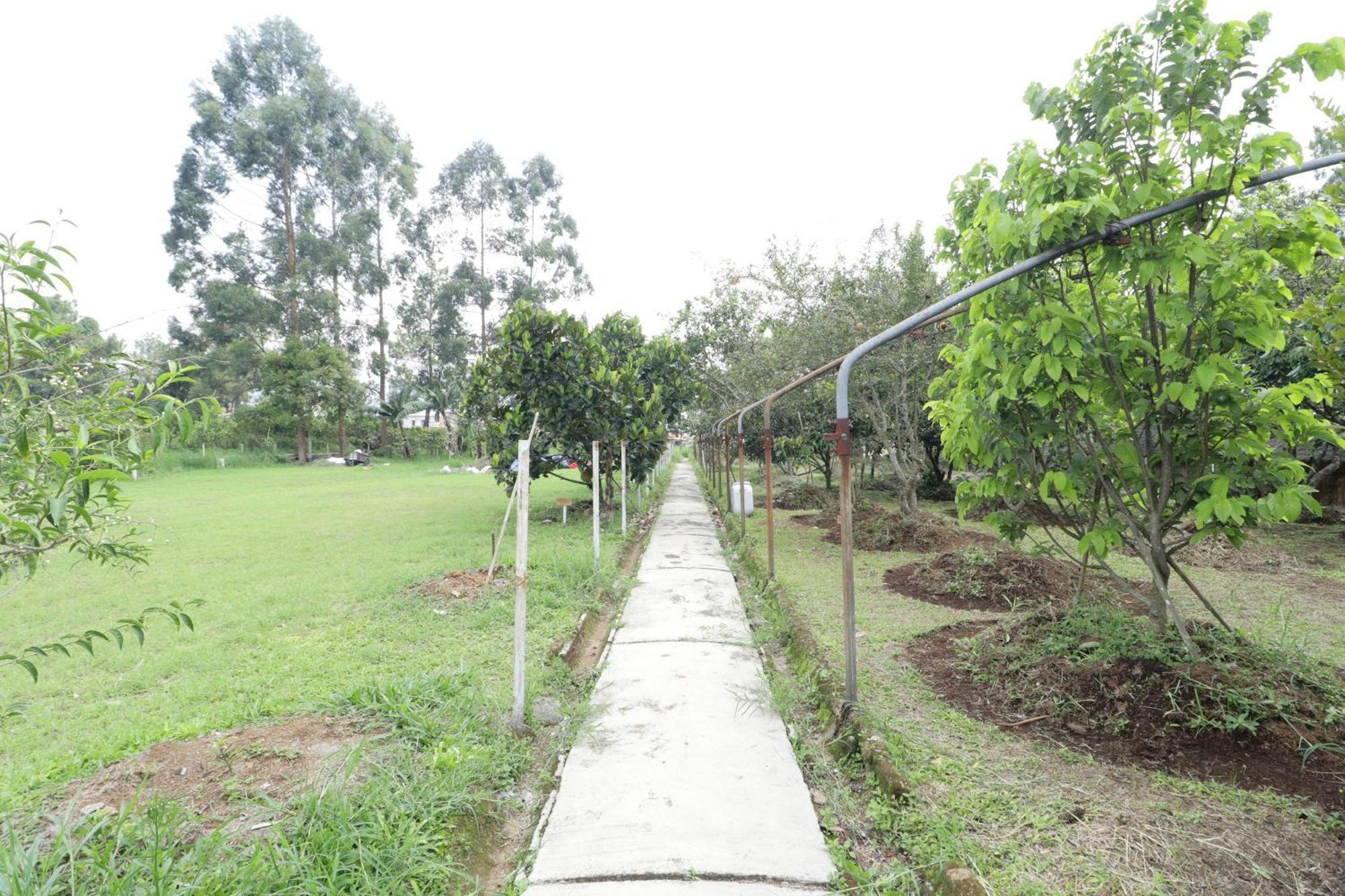 Grand Nirwana Resort Lembang Exteriör bild